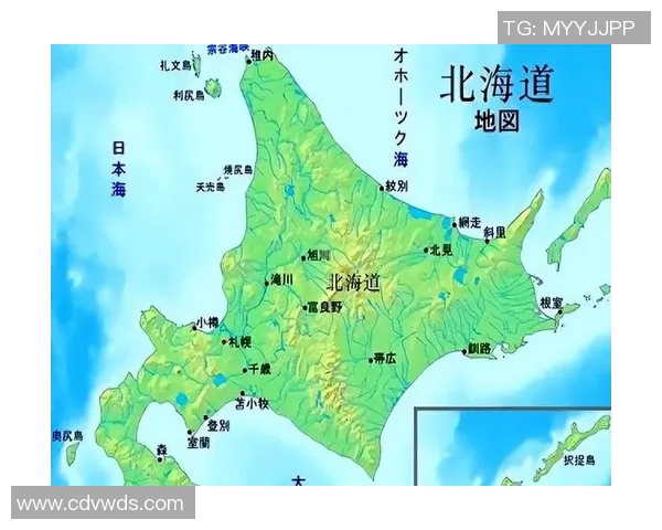日本足球之光:探索日本最强足球明星的辉煌历程与成就